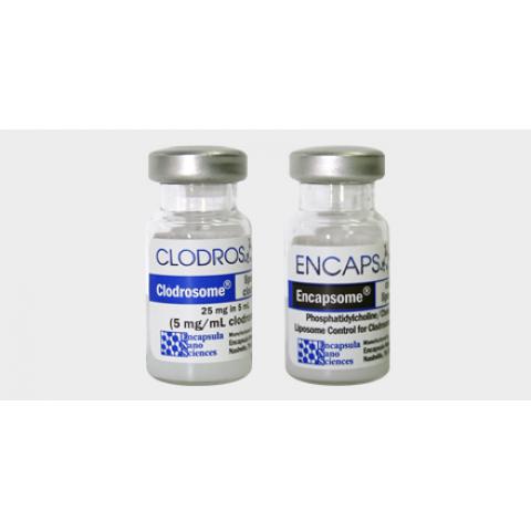 标准巨噬细胞消耗试剂盒 Encapsula Standard Macrophage Depletion Kit (Clodrosome + Encapsome)...